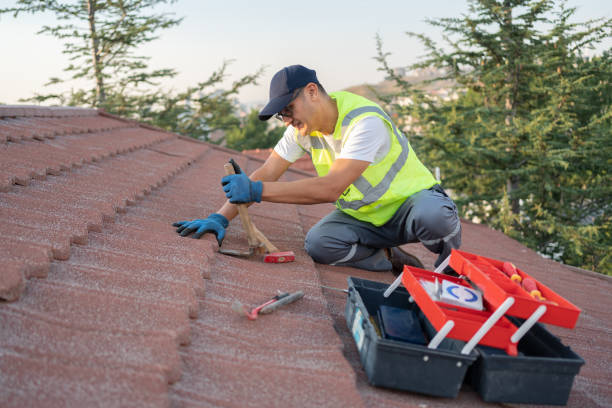 Best Roof Gutter Cleaning  in St Martins, MO
